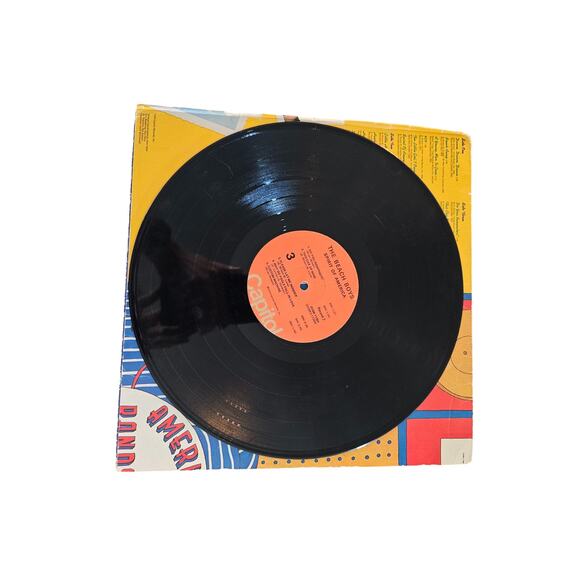 THE BEACH BOYS ~ SPIRIT OF AMERICA VINYL RECORD - Picture 4 of 4